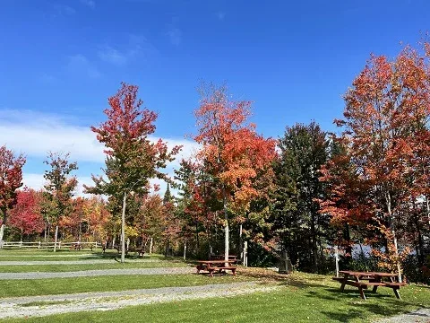 Camping Club Chasse Et Pêche Sainte-Marie