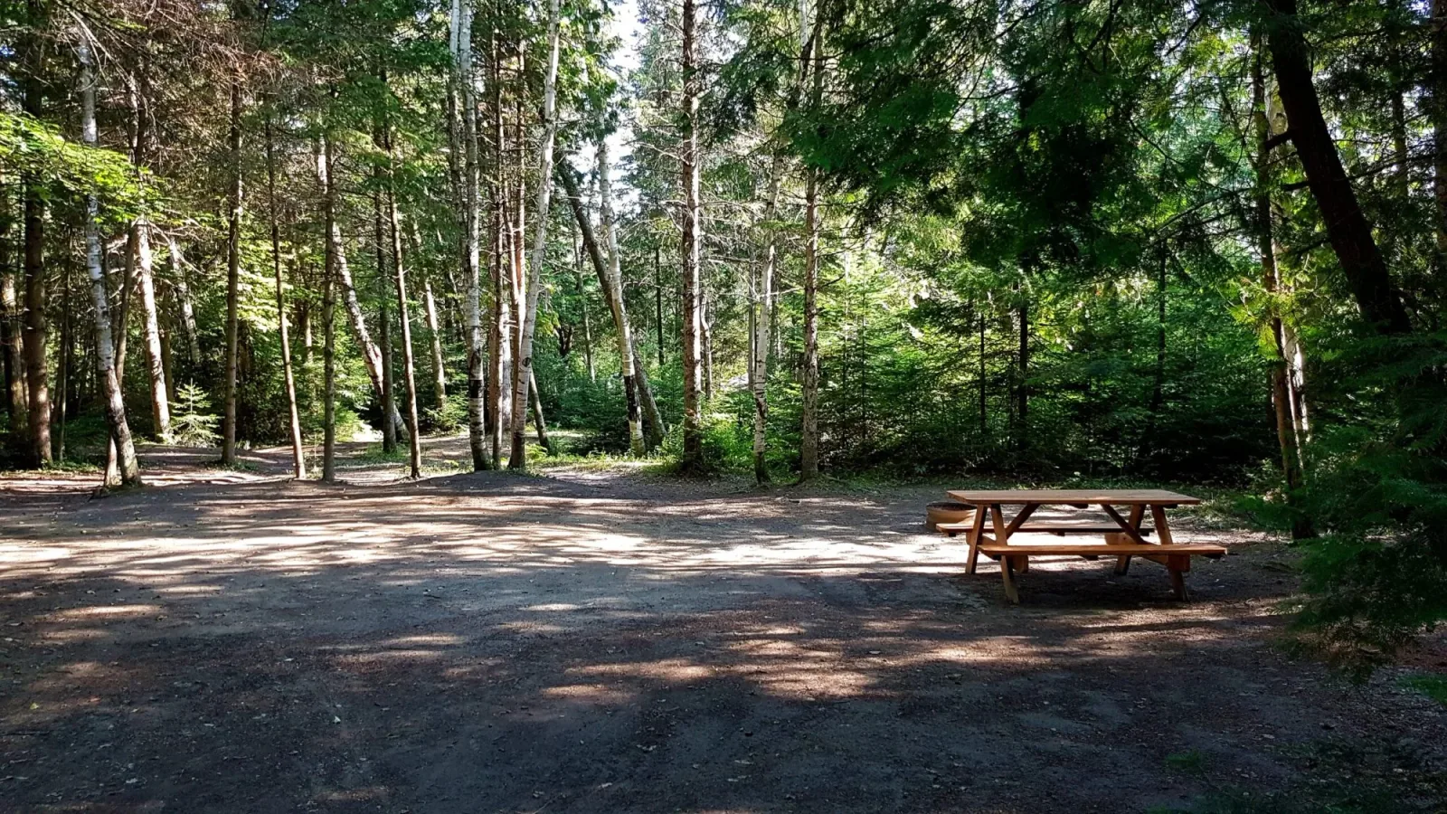 Camping Domaine Des Cèdres