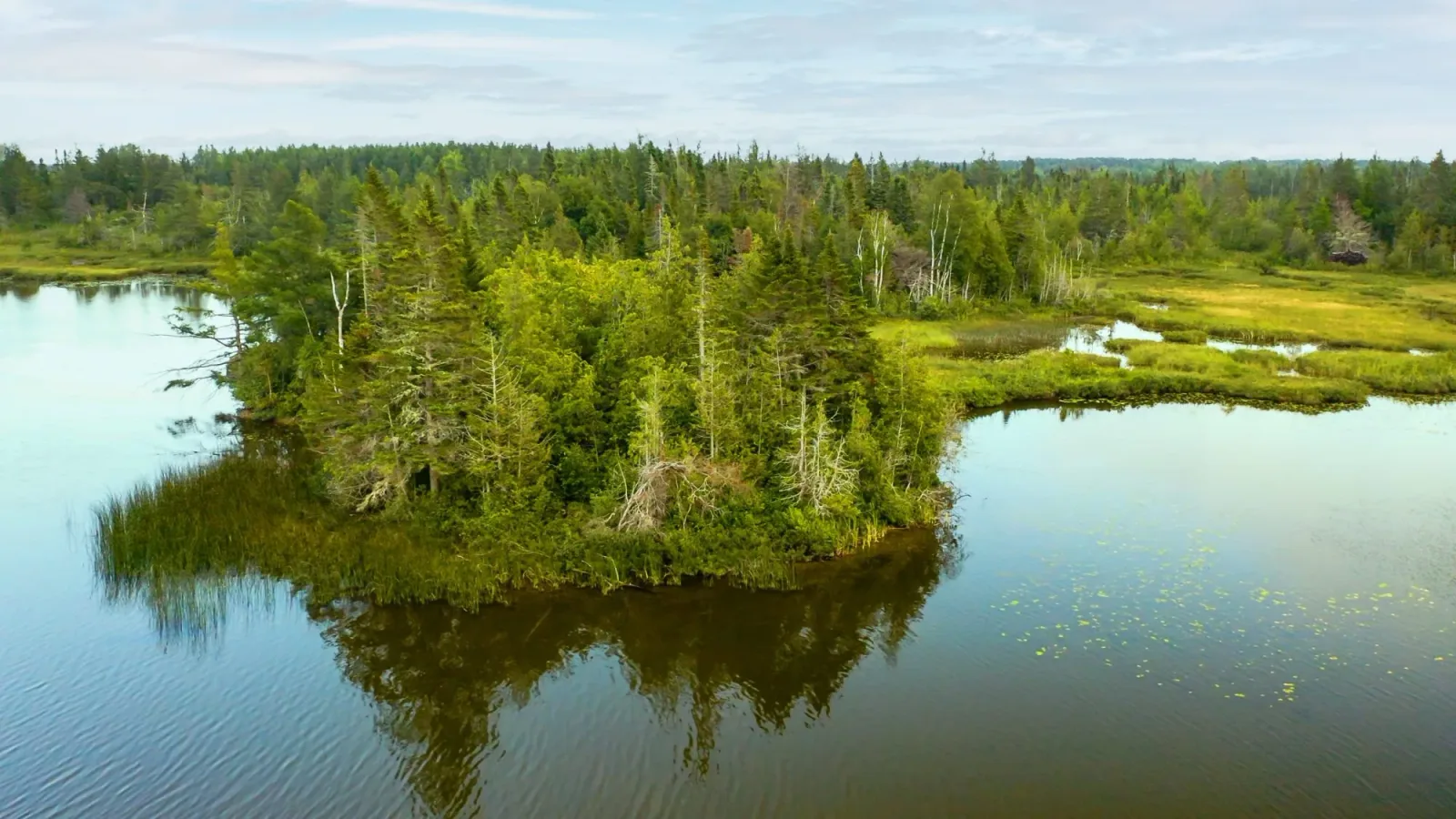 Camping Du Lac Des Robin
