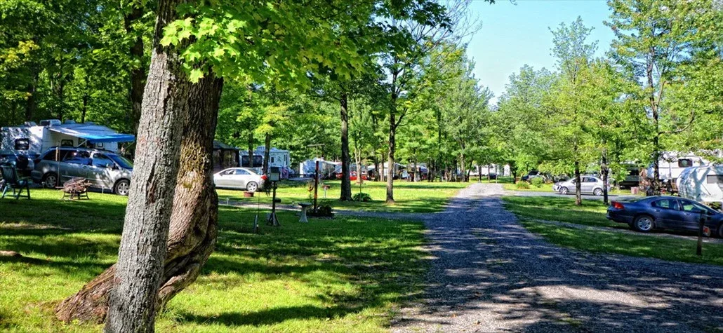 Camping Mont Scotch Hill