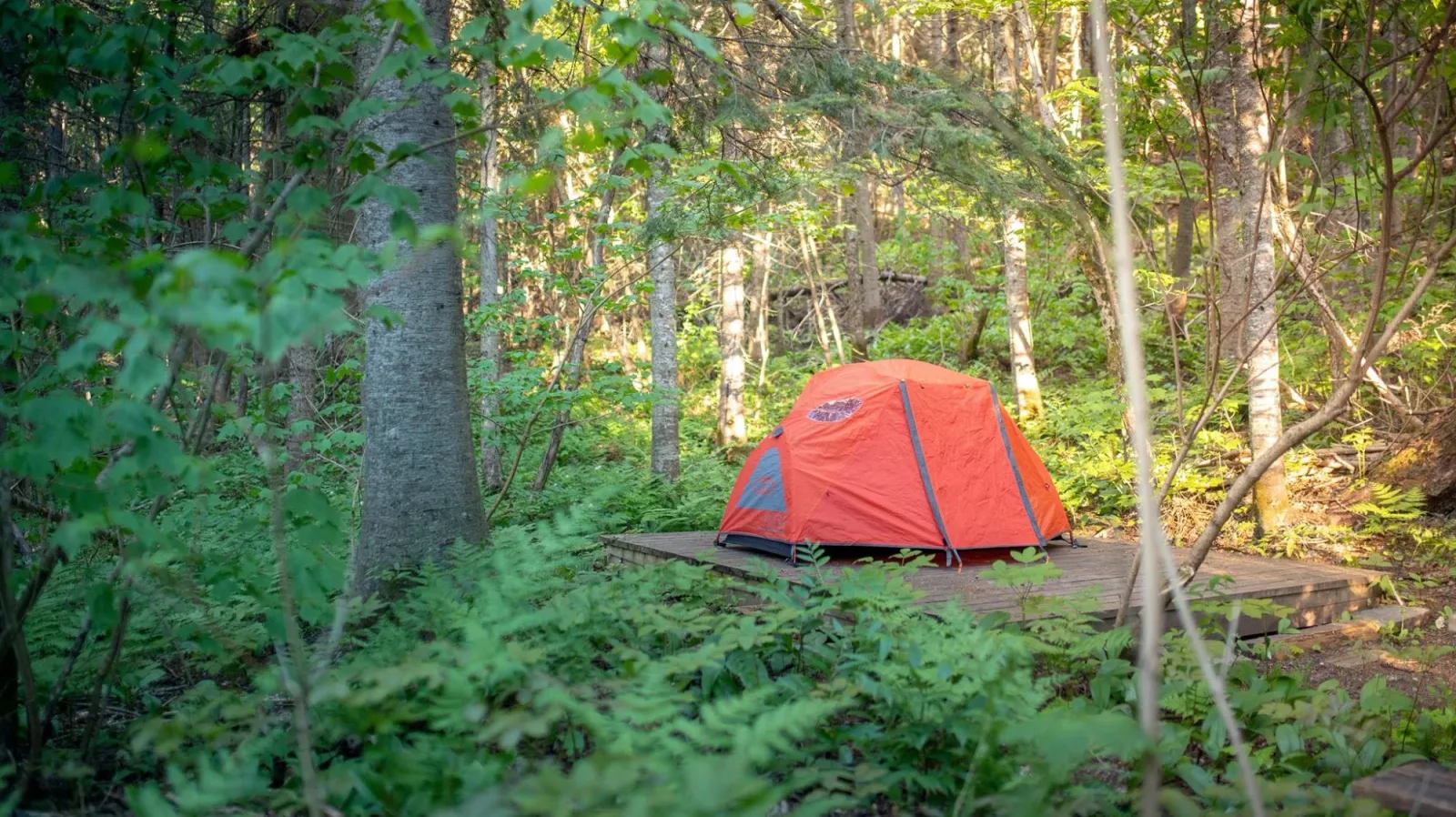 Camping Parc De La Rivière Mitis