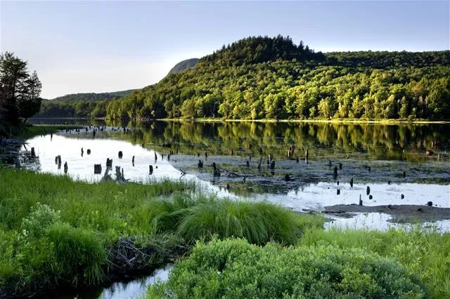 Camping Parc National Du Mont-Orford Lac Stukely